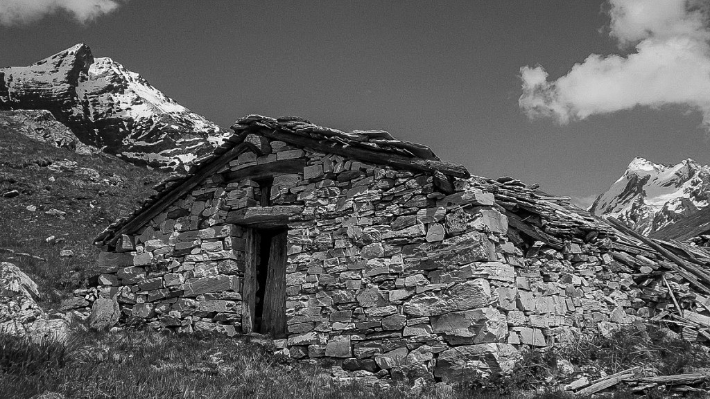 #GarnomoStudio-Ferme-1